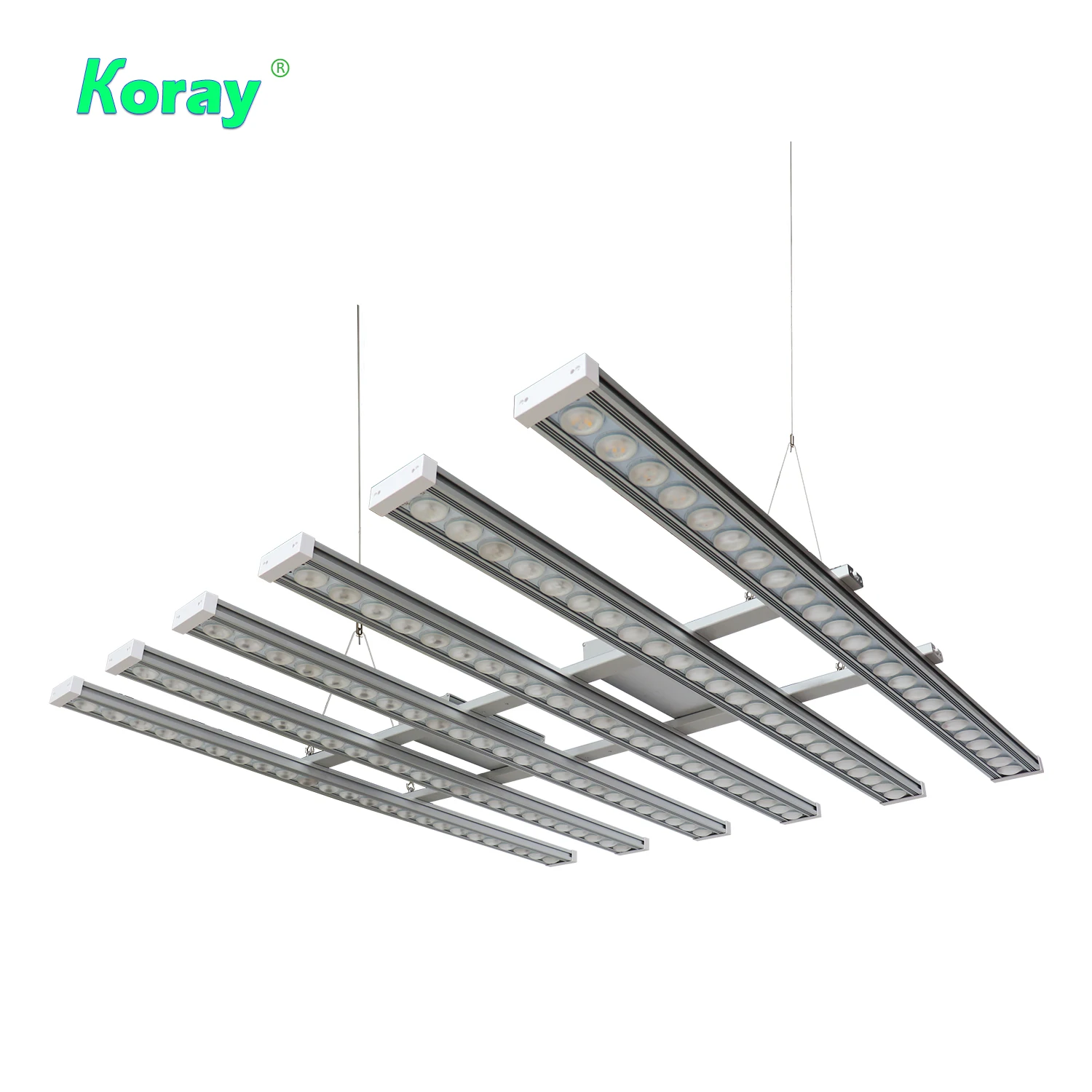 ไฟปลูกต้นไม้ในร่ม Koray 900W แ - Led Strip Lights บทวิจารณ์และราคา