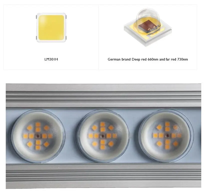 ไฟปลูกต้นไม้ในร่ม Koray 900W แ - Led Strip Lights บทวิจารณ์และราคา